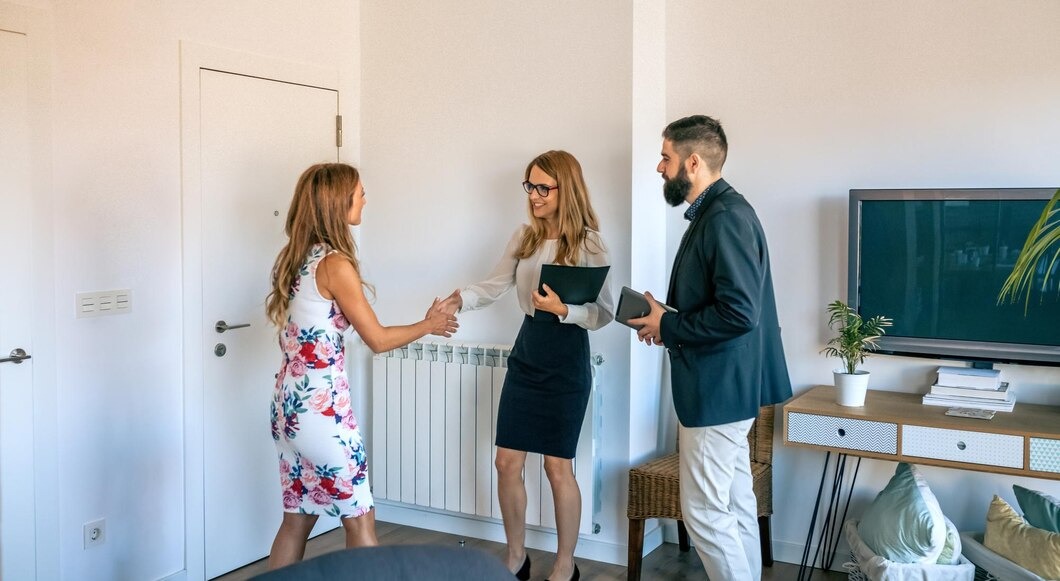 Consultants meeting with client